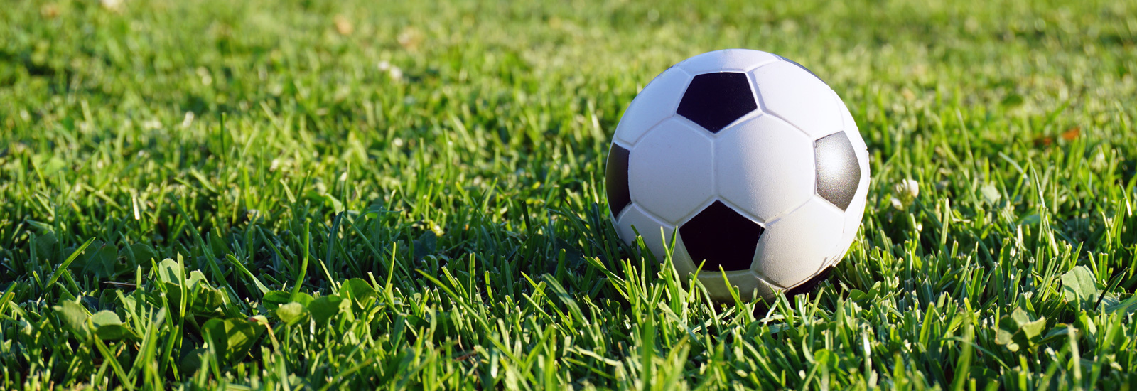 Photo d'illustration de la Mairie de Marseille 15e et 16e arrondissements